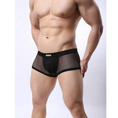 hot gay man in black Mesh See Through Underwear Boxer Briefs | Gay Underwear- pridevoyageshop.com - gay men’s underwear and swimwear