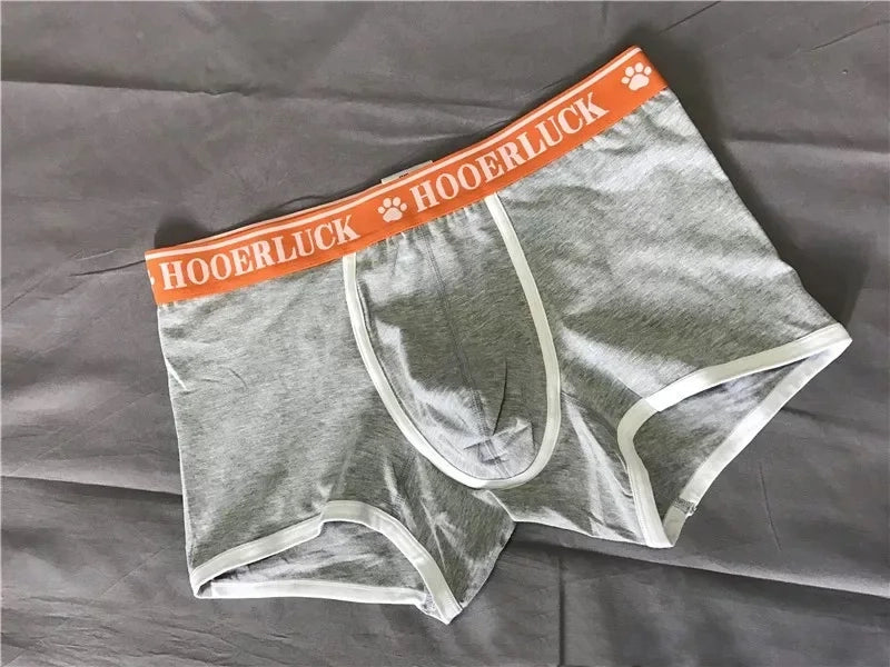 Gray Bear Bulge Boxer Briefs - pridevoyageshop.com - gay men’s thongs, boxers, briefs and jockstraps