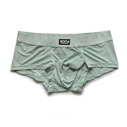 Green DM Elephant in the Room Boxer Briefs - pridevoyageshop.com - gay men’s thongs, boxers, briefs and jockstraps