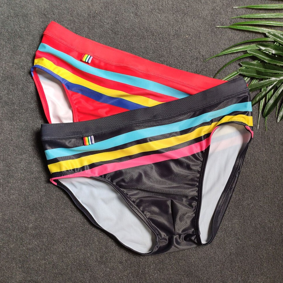 Vibrant Stripes Swim Briefs