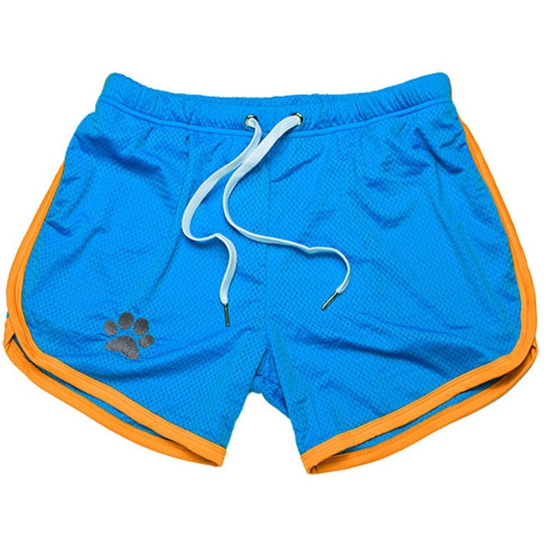 sky blue Gay Shorts | Gay Bear Paw Gym Shorts - Men's Activewear, gym short, sport shorts, running shorts- pridevoyageshop.com