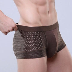 hot man in auburn Men's Breathable Mesh Pouch Boxer Brief | Gay Underwear- pridevoyageshop.com - gay men’s underwear and swimwear