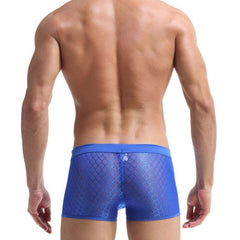 hot gay man in sky blue Men's Sexy Transparent Mesh Boxers | Gay Underwear- pridevoyageshop.com - gay men’s underwear and swimwear