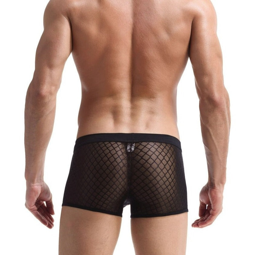 hot gay man in black black Men's Sexy Transparent Mesh Boxers | Gay Underwear- pridevoyageshop.com - gay men’s underwear and swimwear