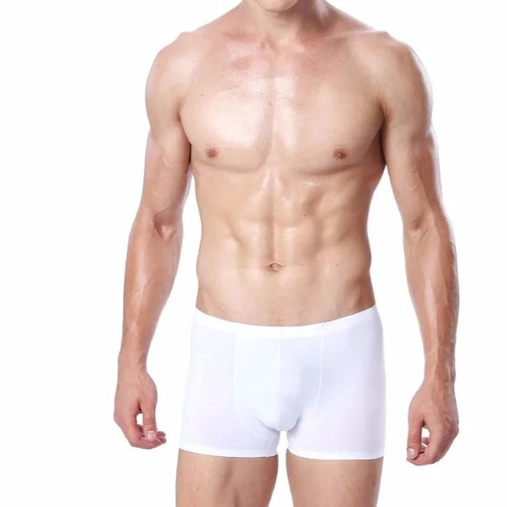 hot gay man in white Icy and See Throu Boxer Briefs - pridevoyageshop.com - gay men’s underwear and swimwear
