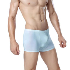 a hot gay man in blue Icy and See Throu Boxer Briefs - pridevoyageshop.com - gay men’s underwear and swimwear