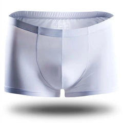 white Icy and See Throu Boxer Briefs - pridevoyageshop.com - gay men’s underwear and swimwear