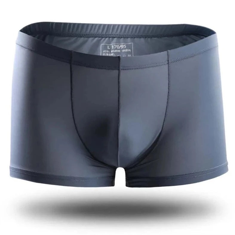 gray Icy and See Throu Boxer Briefs - pridevoyageshop.com - gay men’s underwear and swimwear