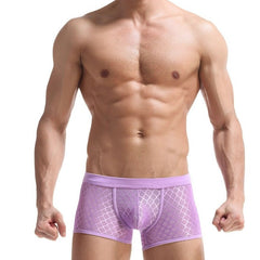 hot gay man in light purple Men's Sexy Transparent Mesh Boxers | Gay Underwear- pridevoyageshop.com - gay men’s underwear and swimwear