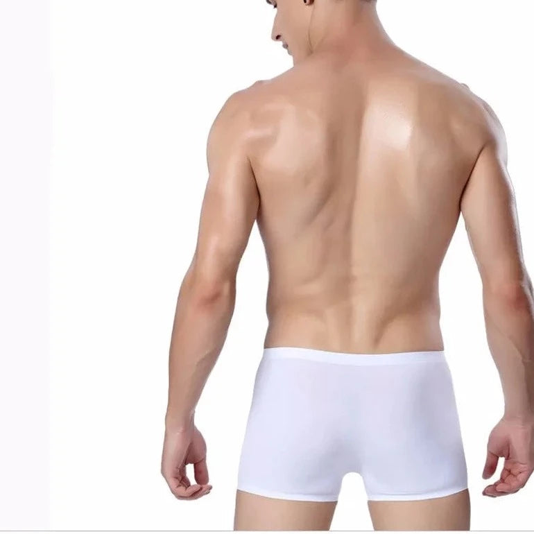 hot gay man in white Icy and See Throu Boxer Briefs - pridevoyageshop.com - gay men’s underwear and swimwear
