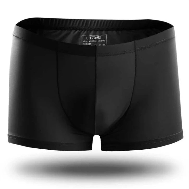 black Icy and See Throu Boxer Briefs - pridevoyageshop.com - gay men’s underwear and swimwear