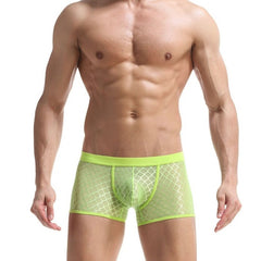 hot gay man in light green Men's Sexy Transparent Mesh Boxers | Gay Underwear- pridevoyageshop.com - gay men’s underwear and swimwear