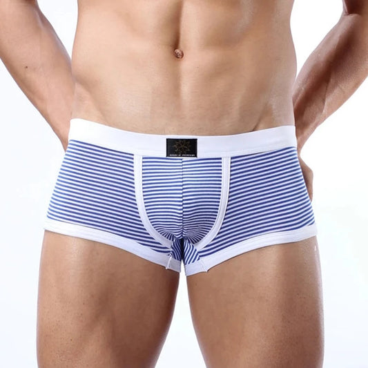 a sexy gay man in blue Brave Person Thin Stripe Lycra Boxer Briefs - pridevoyageshop.com - gay men’s underwear and swimwear