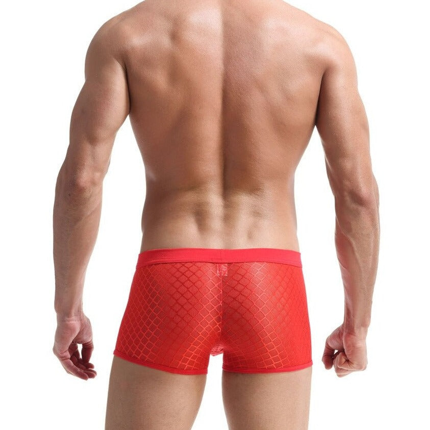 hot gay man in red Men's Sexy Transparent Mesh Boxers | Gay Underwear- pridevoyageshop.com - gay men’s underwear and swimwear