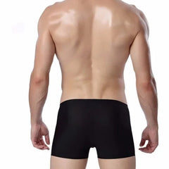 a hot gay man in black Icy and See Throu Boxer Briefs - pridevoyageshop.com - gay men’s underwear and swimwear