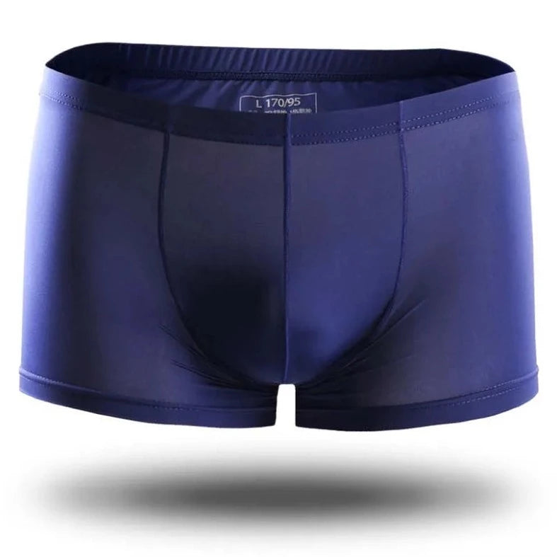 dark blue Icy and See Throu Boxer Briefs - pridevoyageshop.com - gay men’s underwear and swimwear