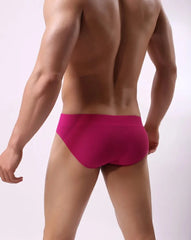 a hot gay man in Fuchsia Brave Person Badge See Through Briefs - pridevoyageshop.com - gay men’s underwear and swimwear