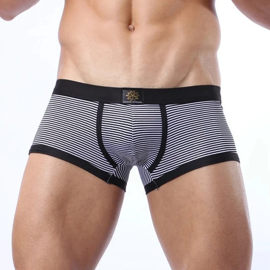 a sexy gay man in black Brave Person Thin Stripe Lycra Boxer Briefs - pridevoyageshop.com - gay men’s underwear and swimwear