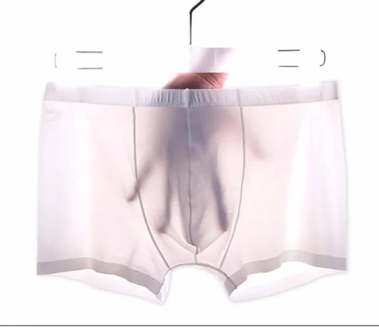 white Icy and See Throu Boxer Briefs - pridevoyageshop.com - gay men’s underwear and swimwear