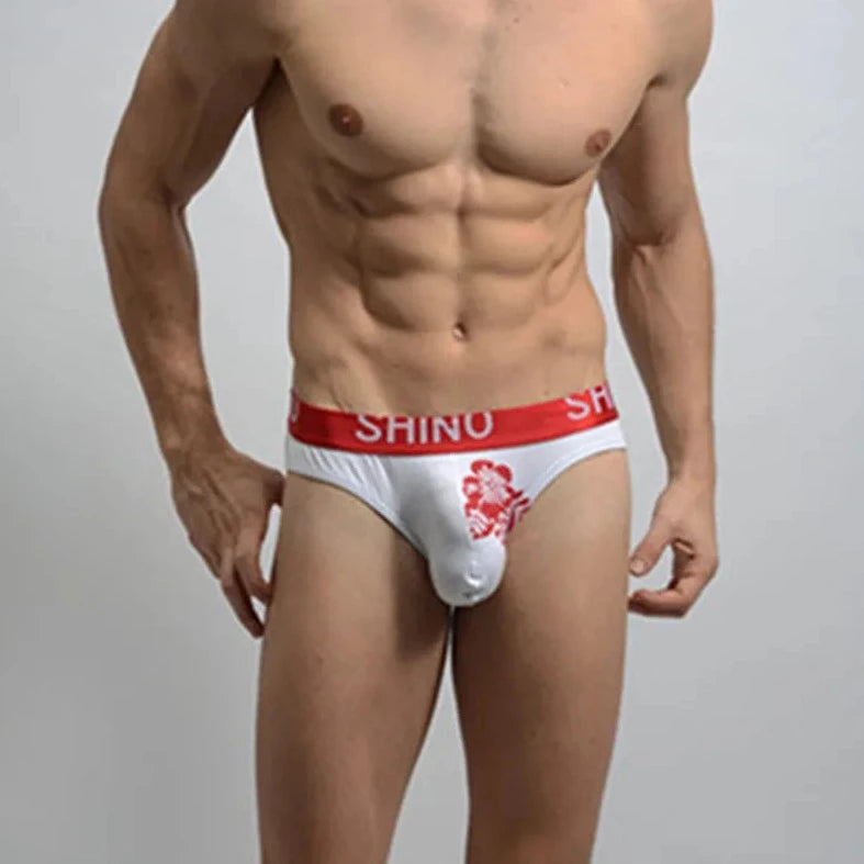 a sexy gay man in red Shino Hung Pouchy Briefs for Endowed Men - pridevoyageshop.com - gay men’s underwear and swimwear