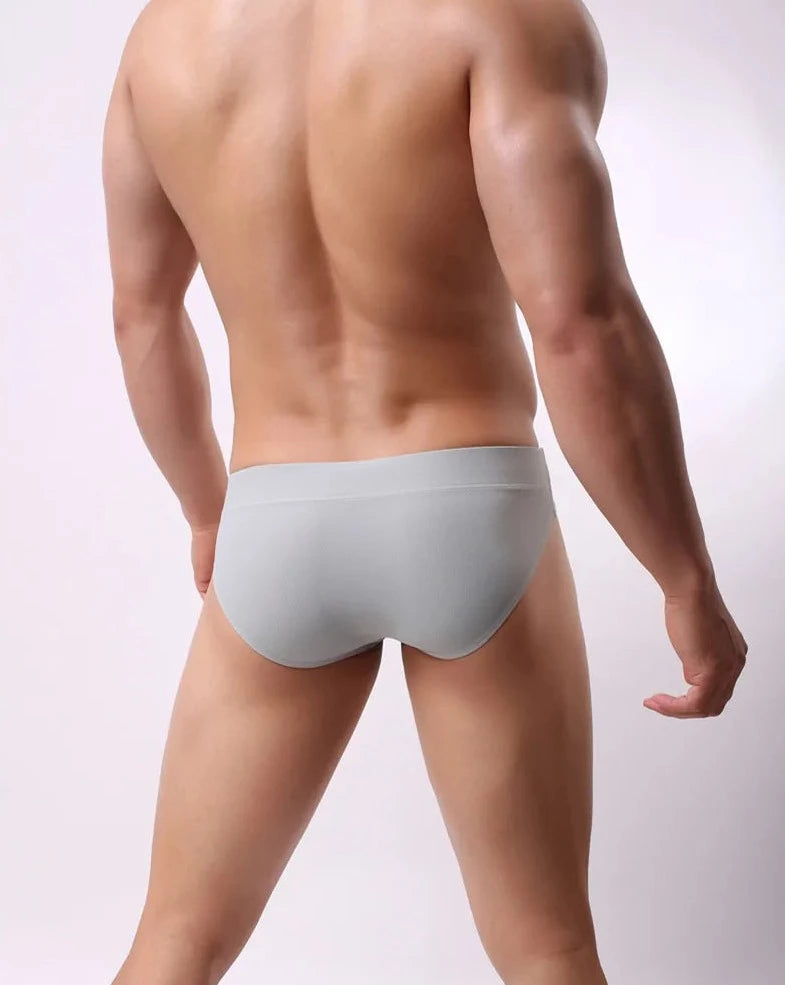 gray Brave Person Badge See Through Briefs - pridevoyageshop.com - gay men’s underwear and swimwear