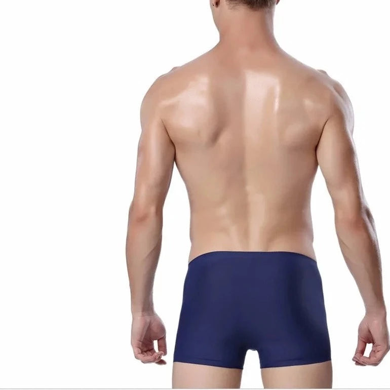 hot gay man in dark blue Icy and See Throu Boxer Briefs - pridevoyageshop.com - gay men’s underwear and swimwear