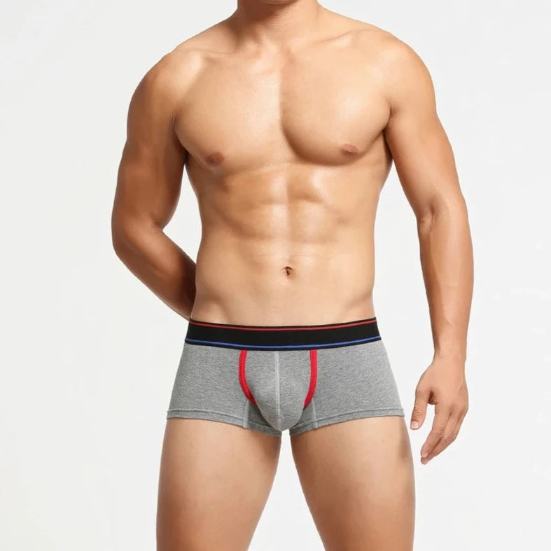 a sexy gay man in gray SEOBEAN "Can You Host" Boxer Briefs - pridevoyageshop.com - gay men’s underwear and swimwear