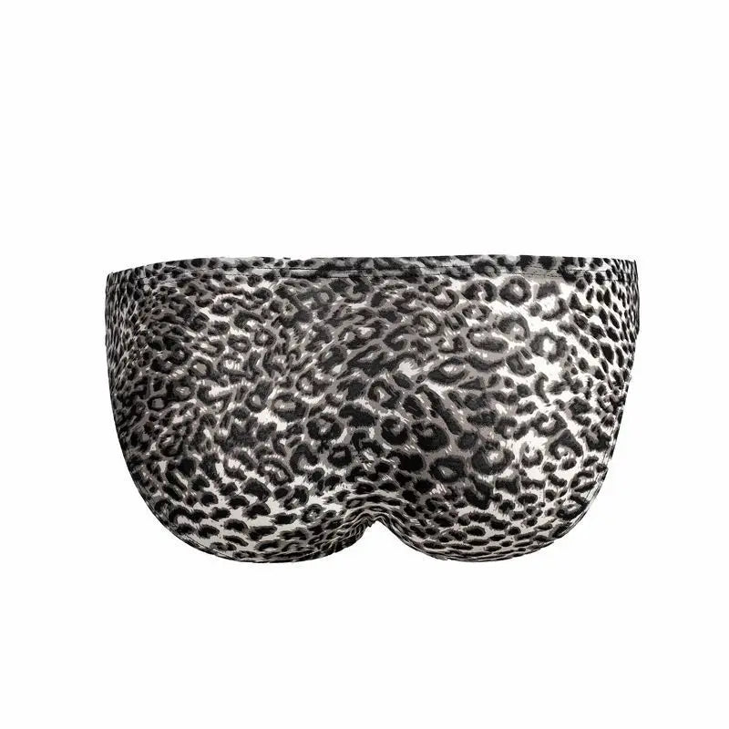 black Leopard Print and Side Mesh Briefs - pridevoyageshop.com - gay men’s underwear and swimwear