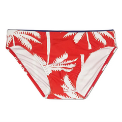 Men’s Sway My Way Swim Briefs - pridevoyageshop.com - gay men’s sexy swim briefs, trunks, board shorts, and bikinis