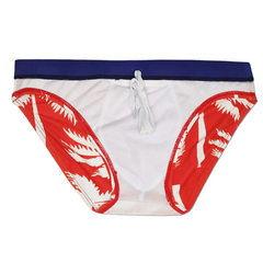 Men’s Sway My Way Swim Briefs - pridevoyageshop.com - gay men’s sexy swim briefs, trunks, board shorts, and bikinis