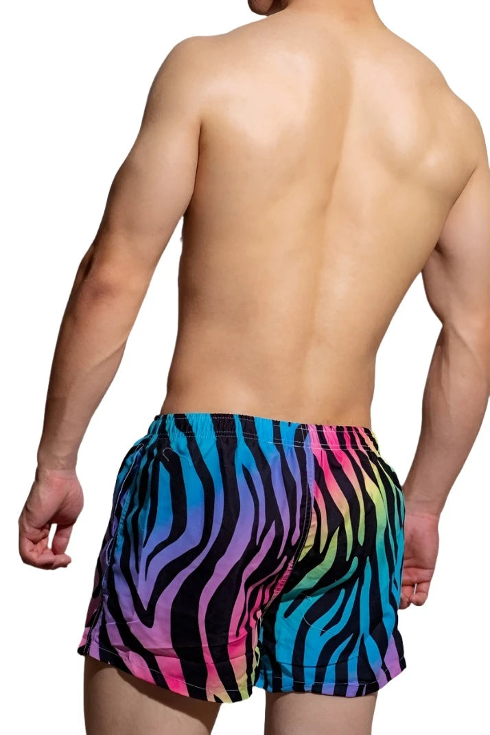 a hot gay man in Rainbow Zebra DM Wild Summer Shorts - pridevoyageshop.com - gay men’s underwear and swimwear