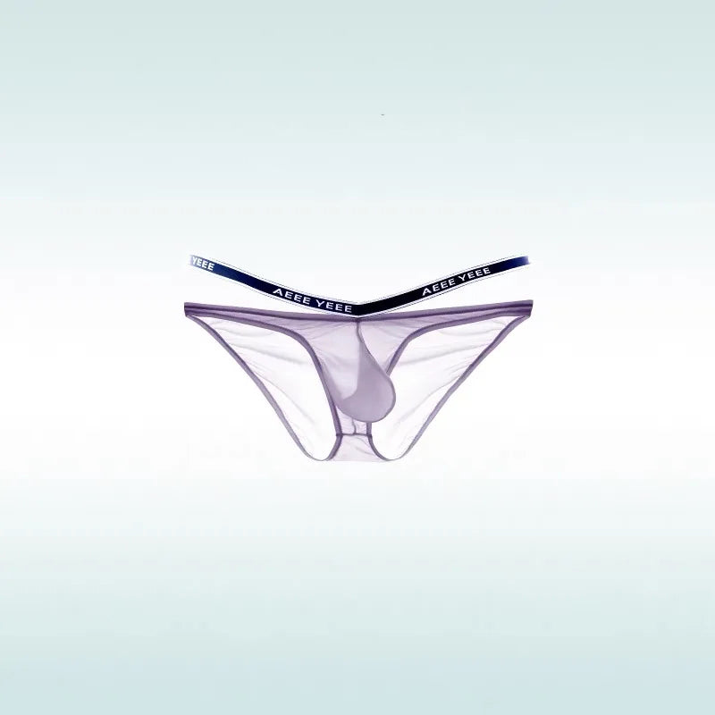 Purple Men’s “Cocky Sheer” Pouch Brief - pridevoyageshop.com - gay men’s thongs, boxers, briefs and jockstraps