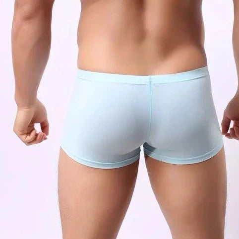 a sexy gay man in sky blue Super Stretchy Ice Silk Boxer Brief - pridevoyageshop.com - gay men’s underwear and swimwear