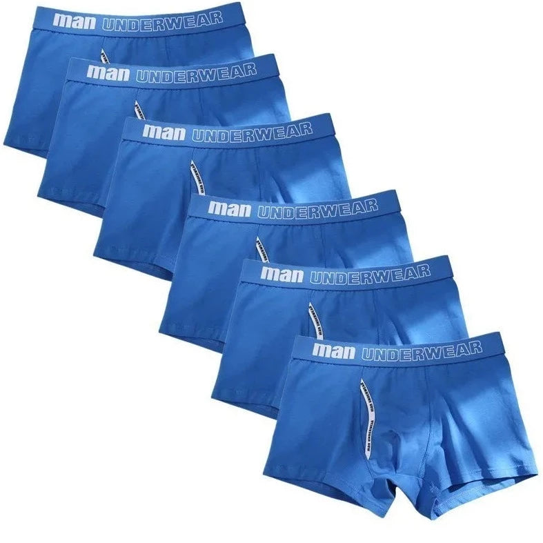 blue Men's Basic Accent Boxer Brief 6-Pack - pridevoyageshop.com - gay men’s underwear and swimwear