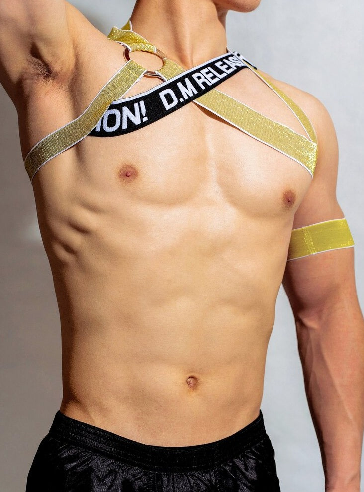 sexy gay man in gold DM Release Shimmer Chest Harness | Gay Harness- pridevoyageshop.com - gay men’s harness, lingerie and fetish wear