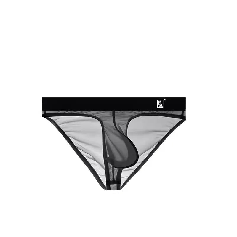 black Transparent Hung Briefs - pridevoyageshop.com - gay men’s underwear and swimwear