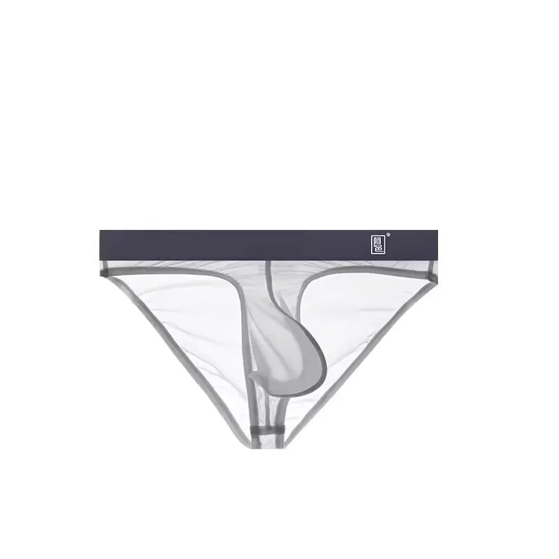 gray Transparent Hung Briefs - pridevoyageshop.com - gay men’s underwear and swimwear