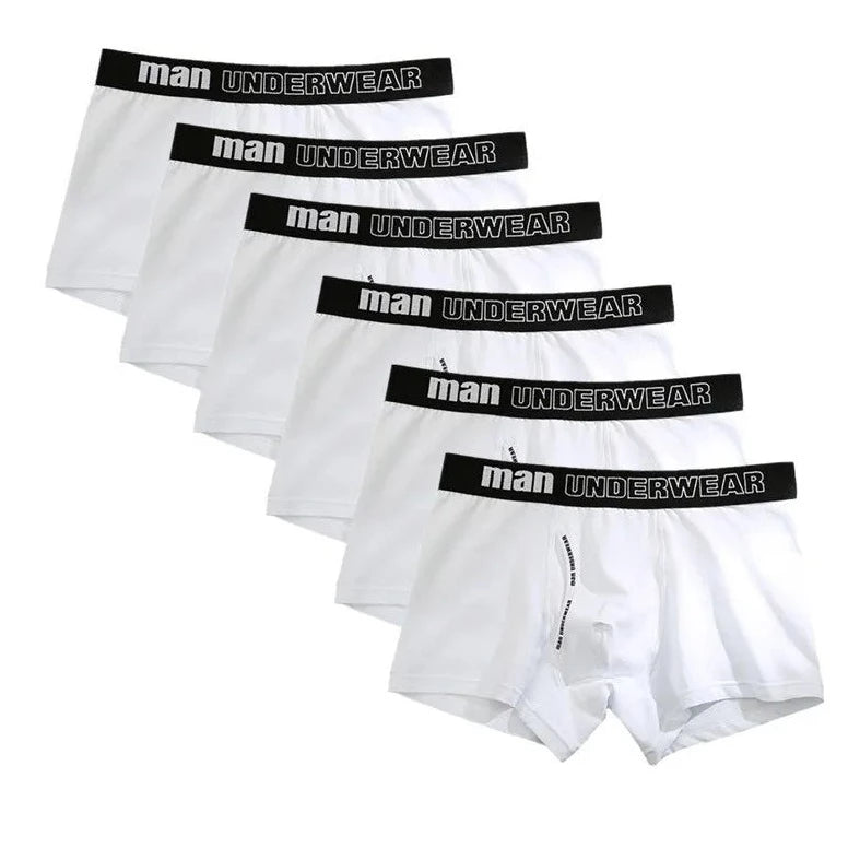 white Men's Basic Accent Boxer Brief 6-Pack - pridevoyageshop.com - gay men’s underwear and swimwear