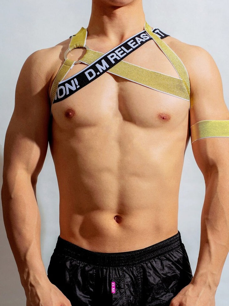sexy gay man in gold DM Release Shimmer Chest Harness | Gay Harness- pridevoyageshop.com - gay men’s harness, lingerie and fetish wear