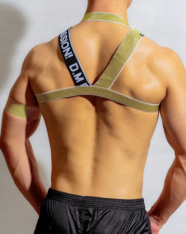 sexy gay man in gold DM Release Shimmer Chest Harness | Gay Harness- pridevoyageshop.com - gay men’s harness, lingerie and fetish wear