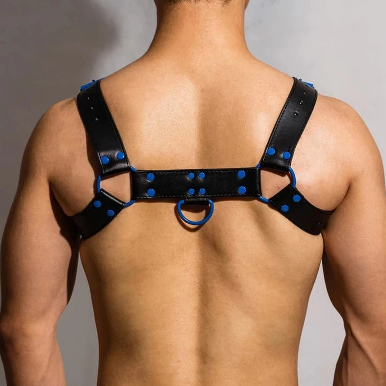 back of Black and Blue Adjustable Chest Harness: Men's Clubwear and Gay Lingerie