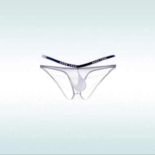 White Men’s “Cocky Sheer” Pouch Brief - pridevoyageshop.com - gay men’s thongs, boxers, briefs and jockstraps
