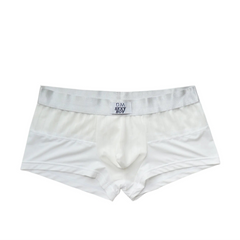White Men’s Designer Striped Sheer Mesh Boxer Brief - pridevoyageshop.com - gay men’s thongs, boxers, briefs and jockstraps