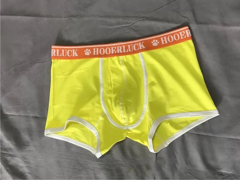 Yellow Bear Bulge Boxer Briefs - pridevoyageshop.com - gay men’s thongs, boxers, briefs and jockstraps