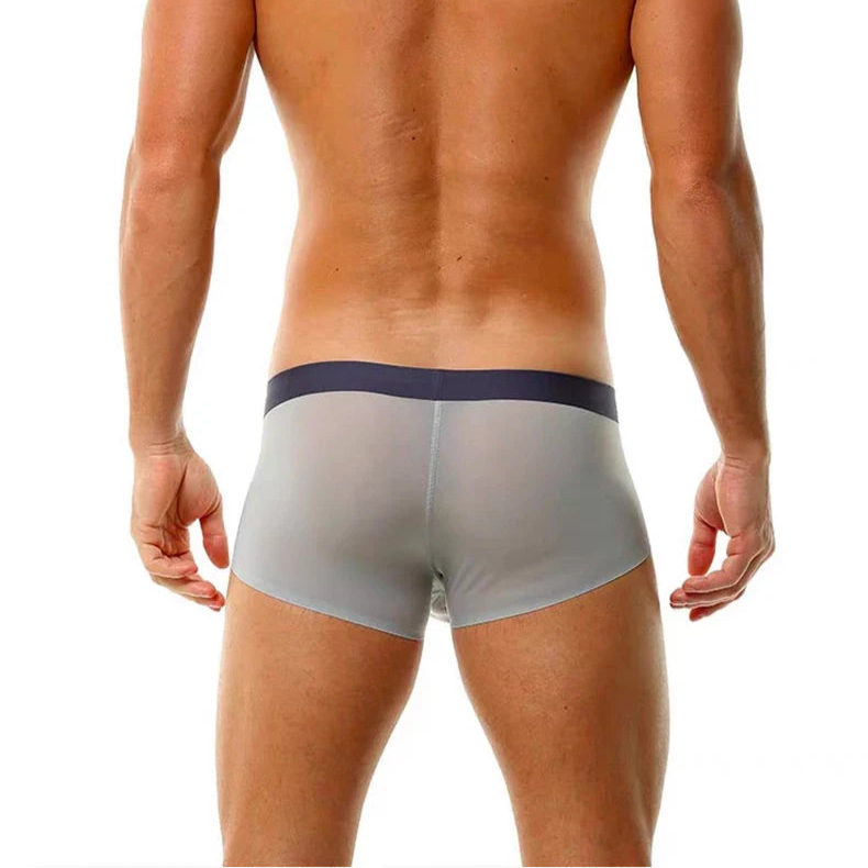a hot man in light gray Backroom Sheer Kink See-Through Boxers - pridevoyageshop.com - gay men’s thongs, boxers, briefs and jockstraps