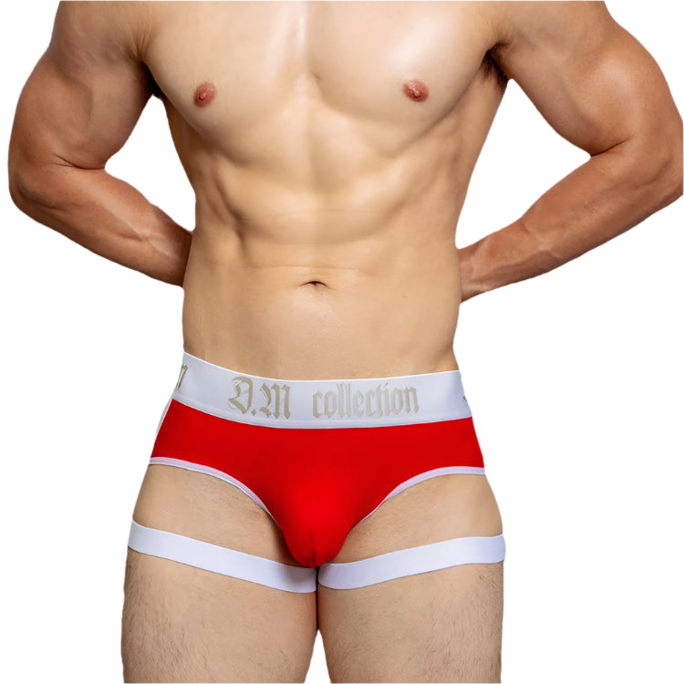 a hot man in red Men’s D.M. Garter Briefs - pridevoyageshop.com - gay men’s thongs, boxers, briefs and jockstraps