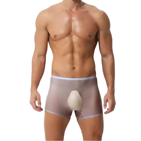 a sex man in purple Men’s Ultra Sheer Big Bulge Boxers - pridevoyageshop.com - gay men’s thongs, boxers, briefs and jockstraps