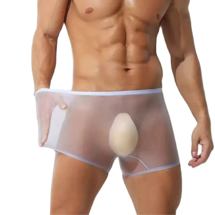 a sex man in purple Men’s Ultra Sheer Big Bulge Boxers - pridevoyageshop.com - gay men’s thongs, boxers, briefs and jockstraps