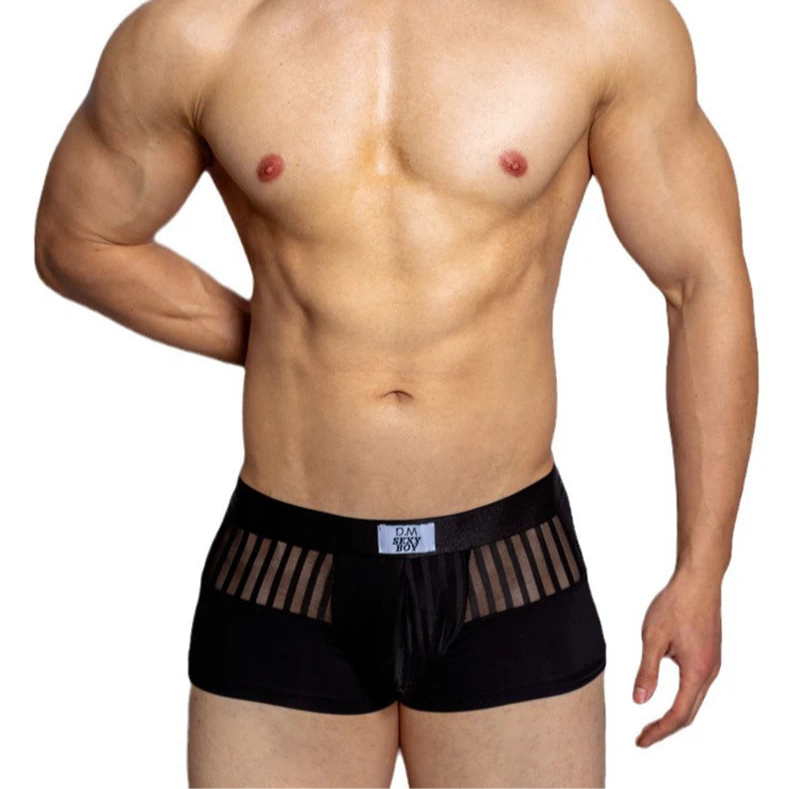 a sexy man in black Men’s Designer Striped Sheer Mesh Boxer Brief - pridevoyageshop.com - gay men’s thongs, boxers, briefs and jockstraps