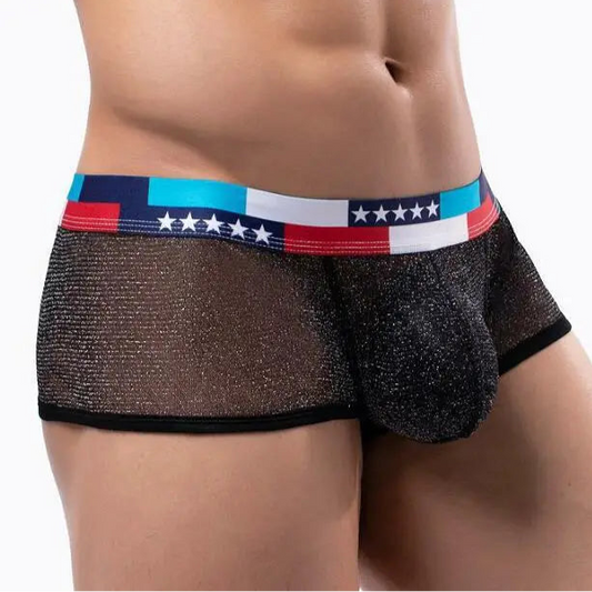 a sexy man in black Men's Star-Spangled Sparkle Sheer Boxers - pridevoyageshop.com - gay men’s thongs, boxers, briefs and jockstraps